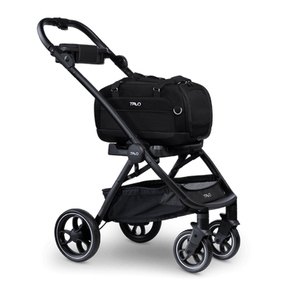 Tavo Dupree II + Roscoe Pet Travel System