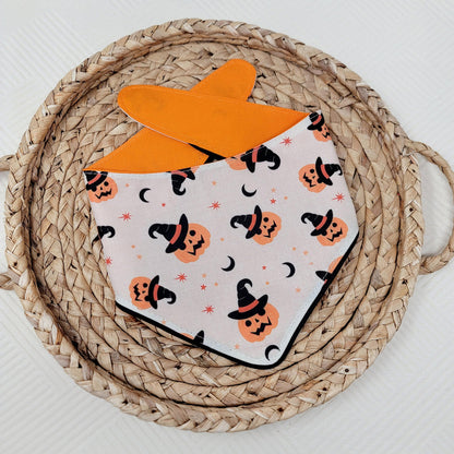 Wicked Cute Reversible Dog Bandana
