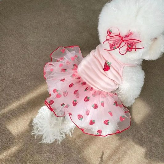 Strawberries Tutu Dog Dress & Matching Hair Bow