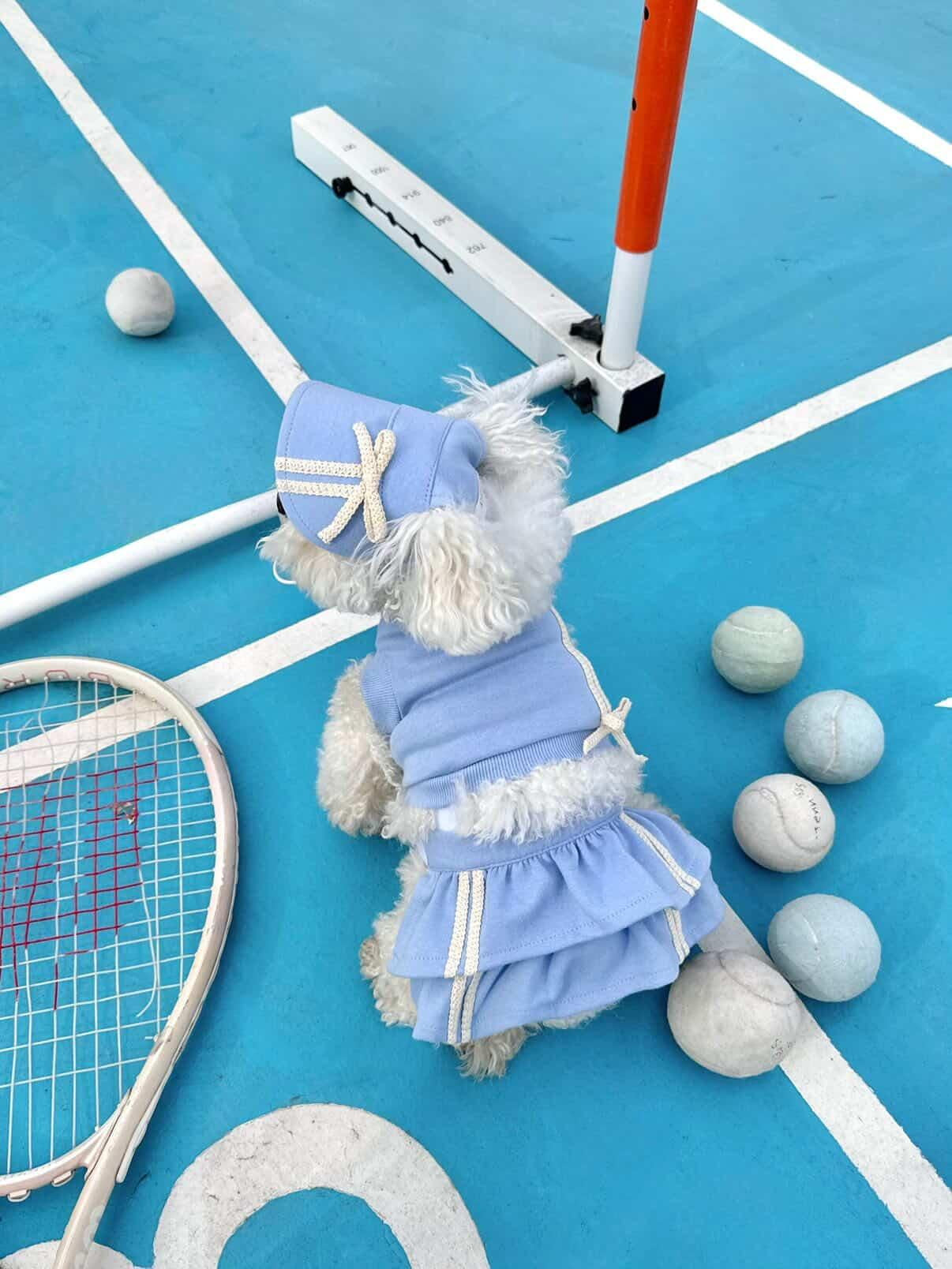 Blue Tennis Outfit 2 Piece Dog Outfit
