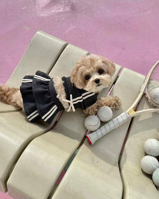 Grey Tennis Outfit 2 Piece Dog Outfit