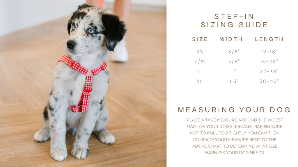 The Lennon Dog Harness