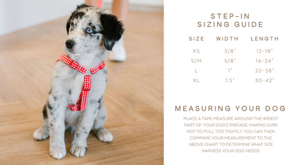 The Lennon Dog Harness