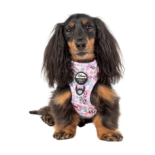 Piglet: Adjustable Dog Harness
