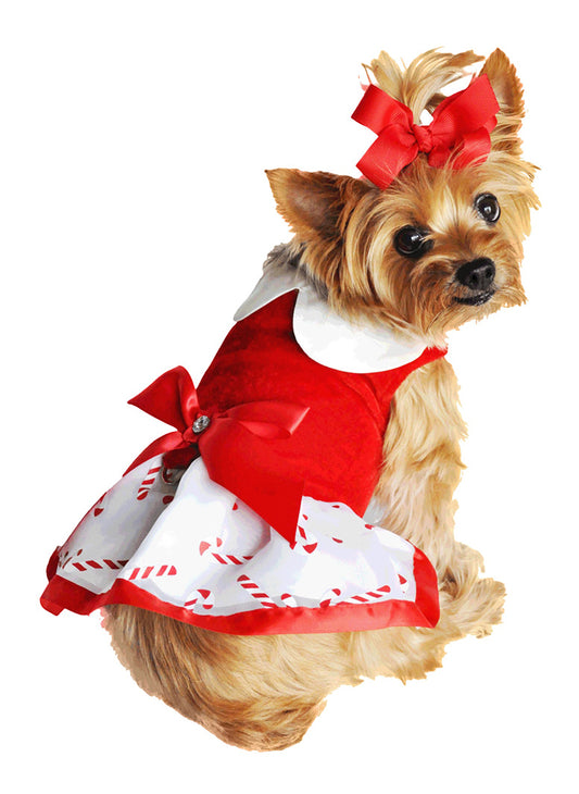 Christmas Candy Cane Rhinestone Dress with D-Ring and Leash