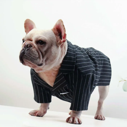 Striped Tweed Dog Suit