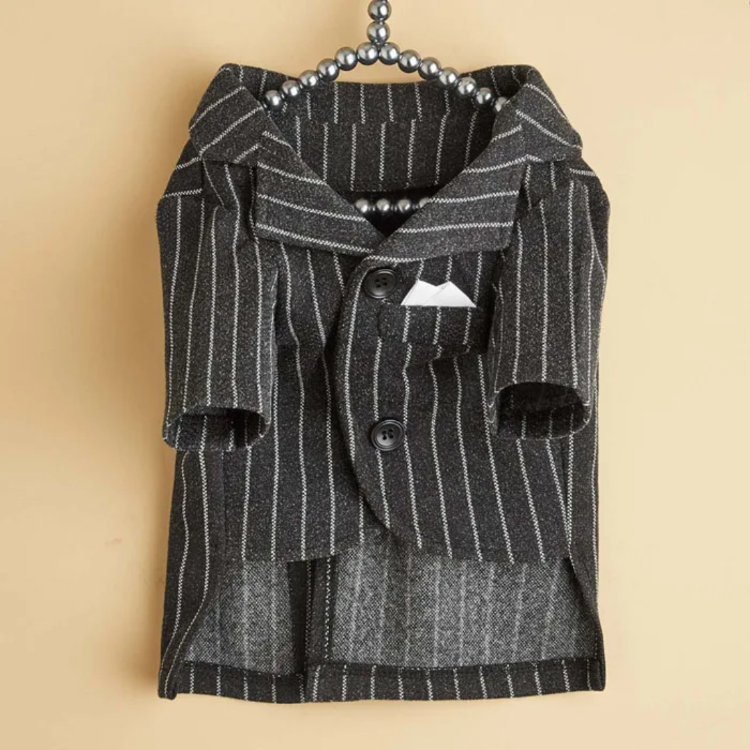 Striped Tweed Dog Suit