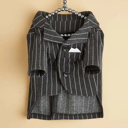 Striped Tweed Dog Suit
