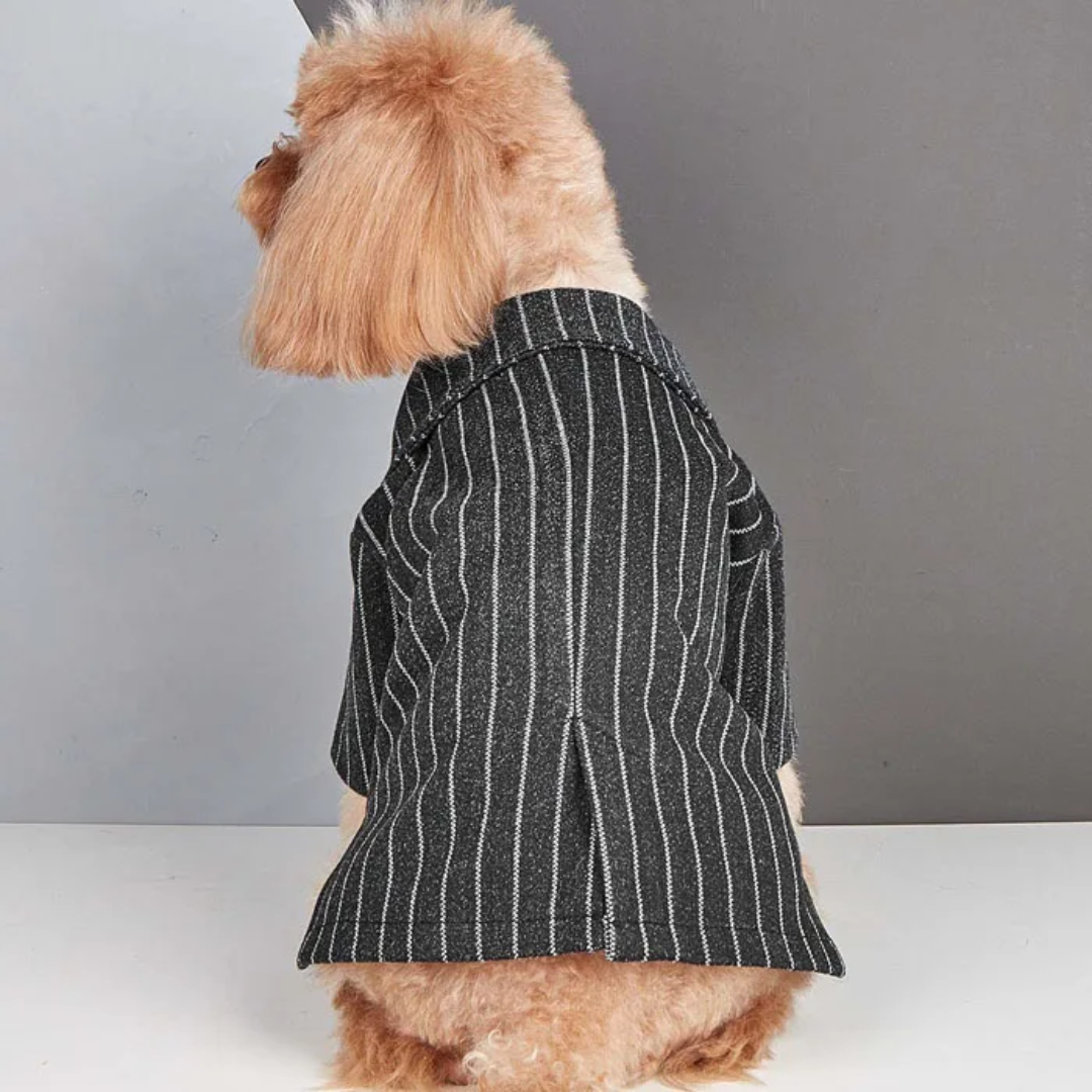 Striped Tweed Dog Suit