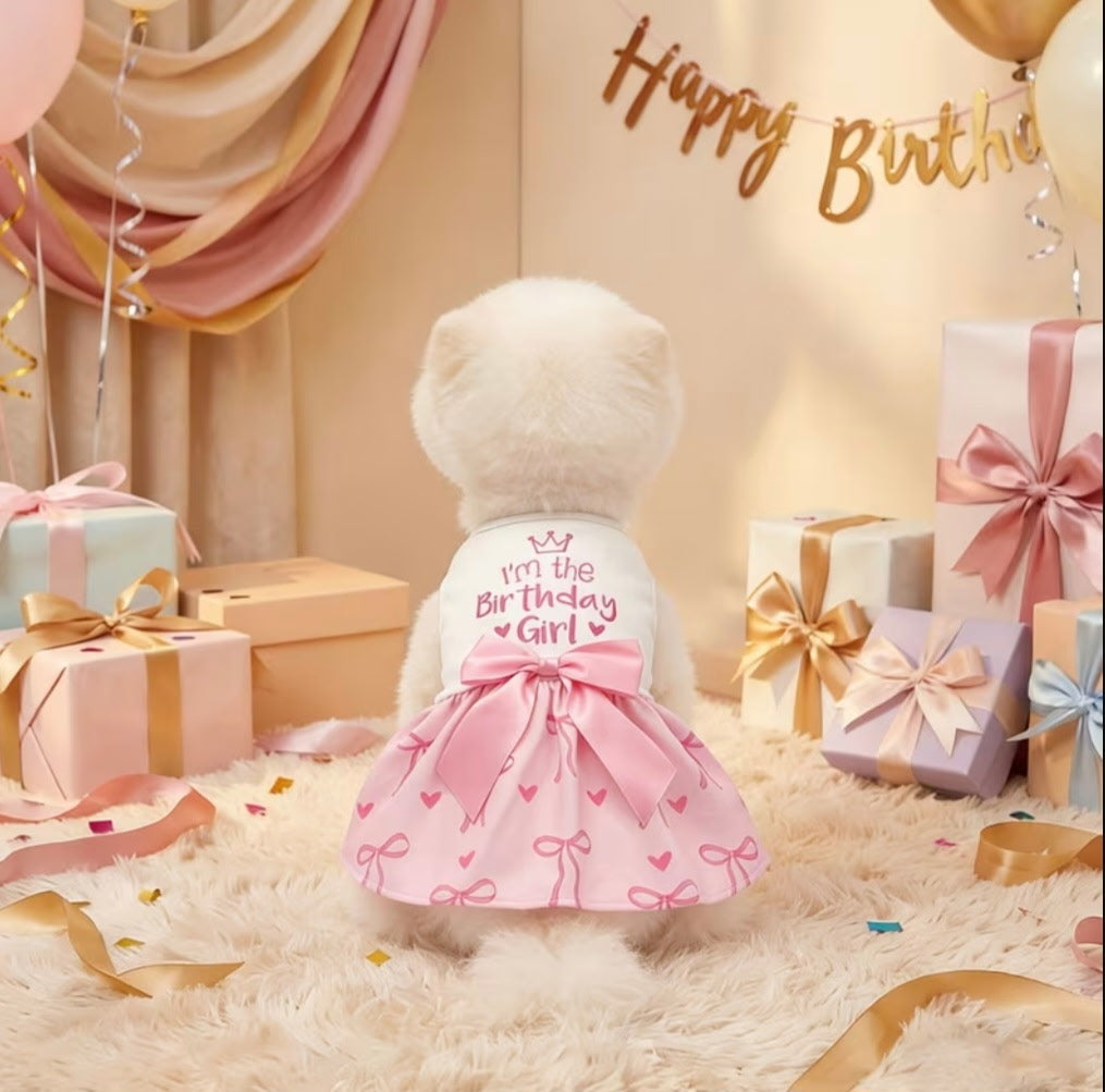 I'm The Birthday Girl Dog Dress