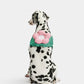 Flora Dog Harness Backpack & Collar