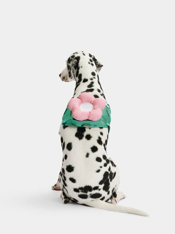 Flora Dog Harness Backpack & Collar