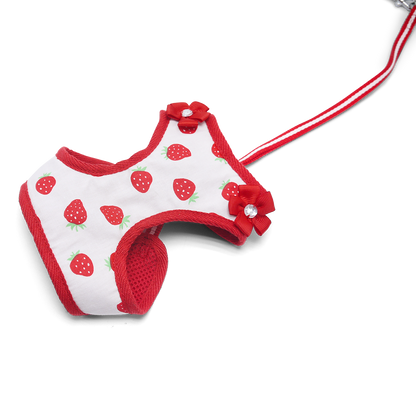 Arnés para perros EasyGO fresa