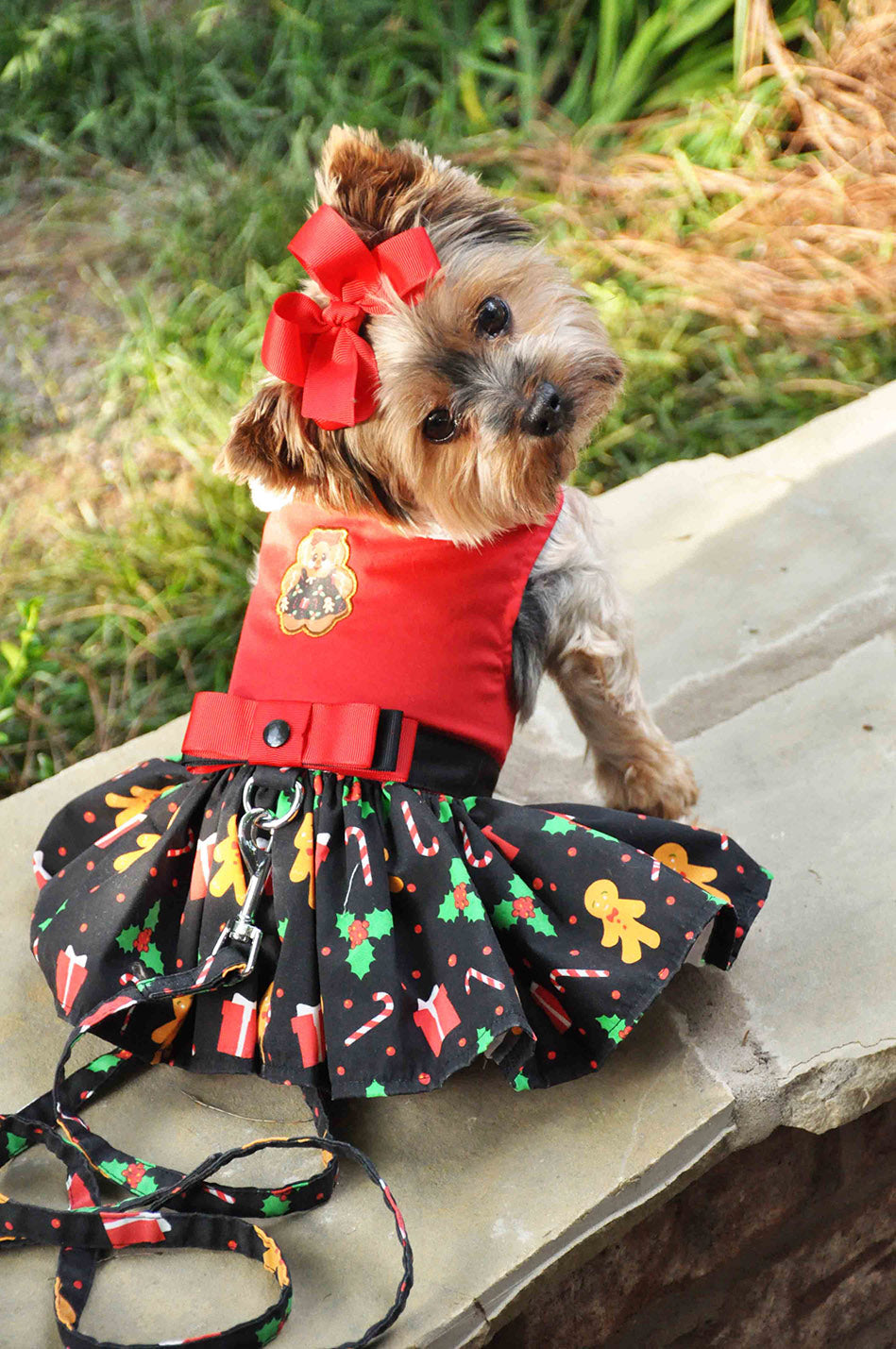 Christmas Gingerbread Dog Dress with D-Ring and Leash