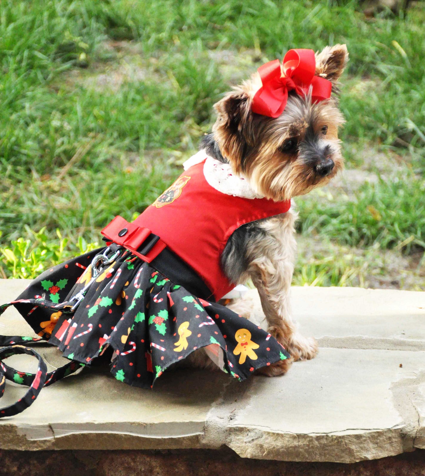 Christmas Gingerbread Dog Dress with D-Ring and Leash