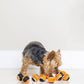 Midlee Orange/Black Mini Dog Halloween Tennis Balls (12pk)