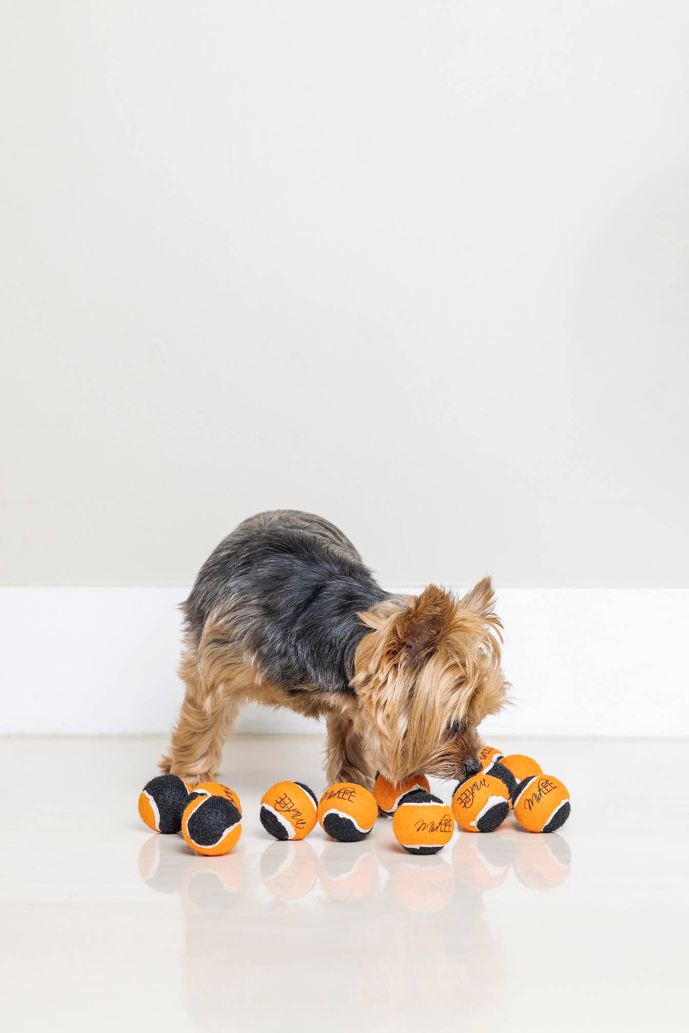 Midlee Orange/Black Mini Dog Halloween Tennis Balls (12pk)