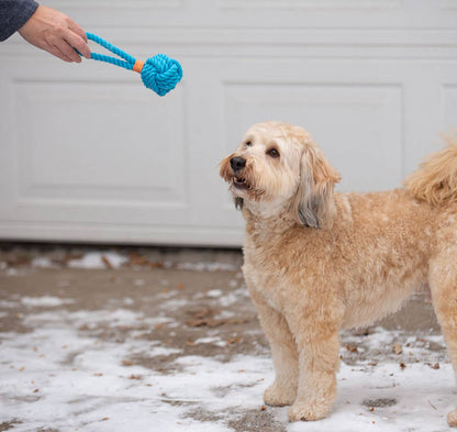 Ball Tug Rope Dog Toy with Handle - Assorted Sizes/Colors
