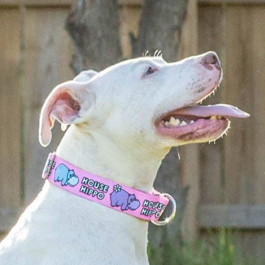 Pitty-potamus Dog Collar - Pink