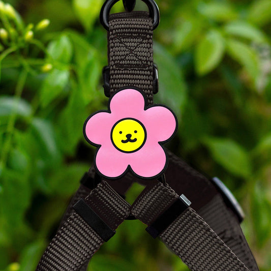 Daisy Dog Jiby - Pink
