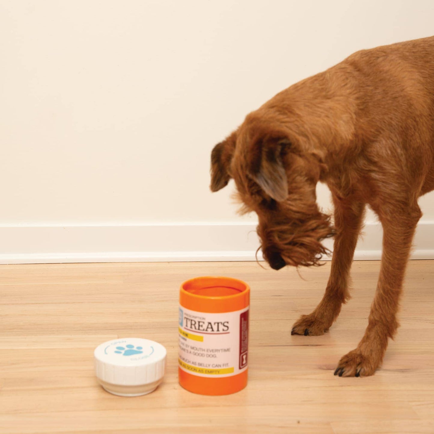 Prescription Treat Jar