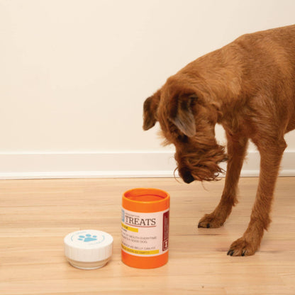 Prescription Treat Jar