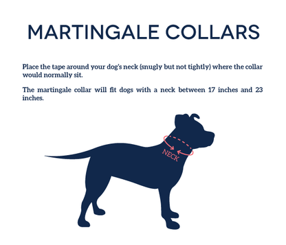 Pittch Perfect Collar