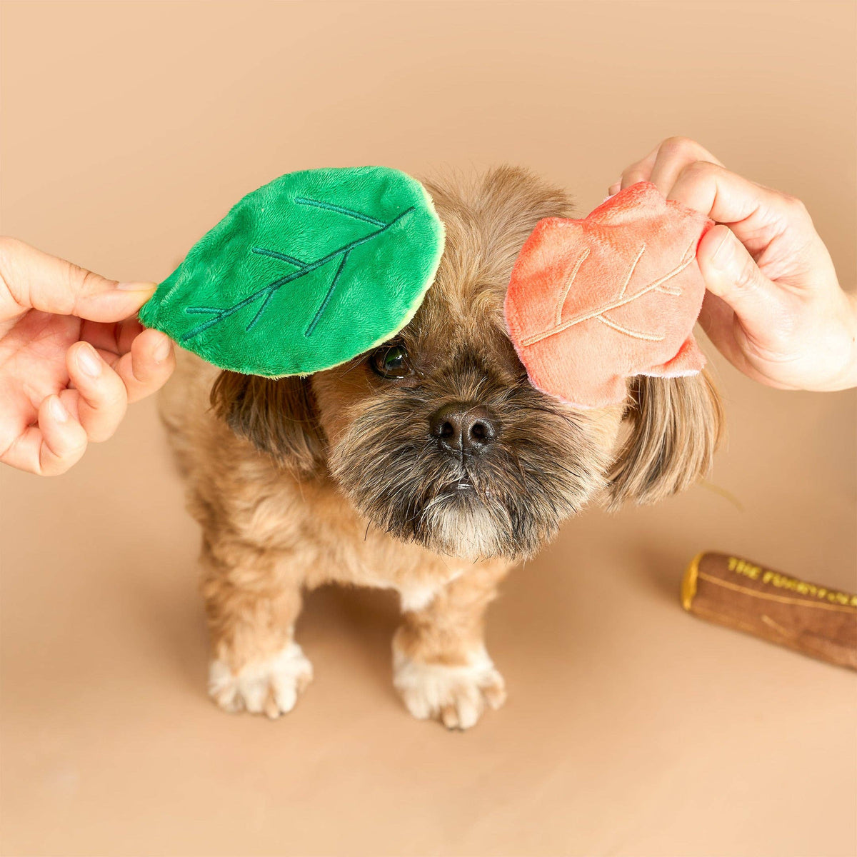 Branch Manager's Branch Nosework Toy
