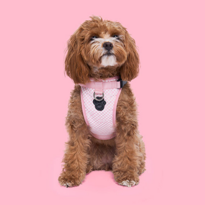 Barbie Checker Everything Harness