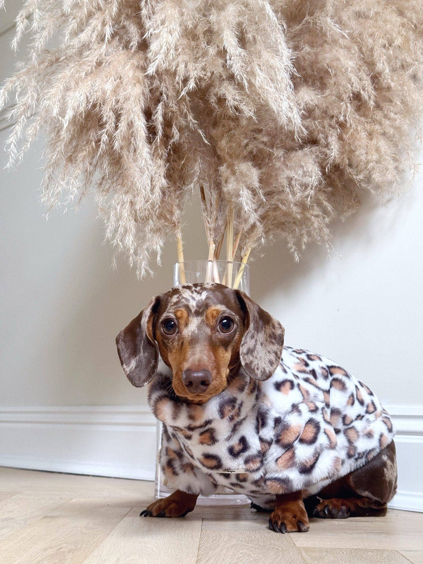 The Leopard Print Fluffy & Fabulous Fleece