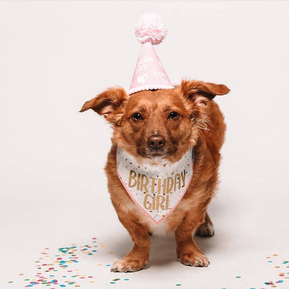 Confetti Birthday Girl or Birthday Boy Dog Bandana