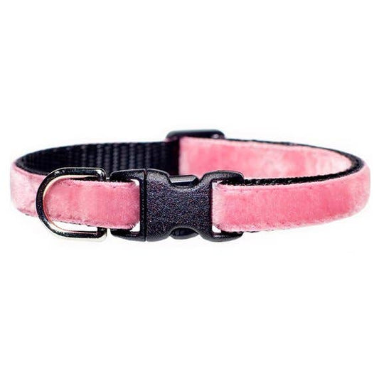 The Ballerina Pink Velvet Collar