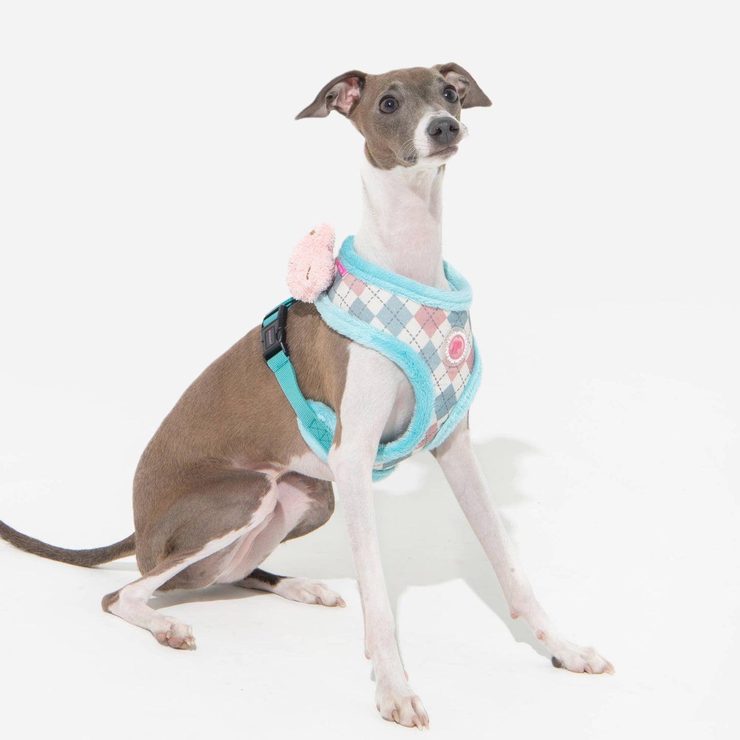 Pinkaholic Annika Dog Harness Argyle w/ Plush Bear - Aqua