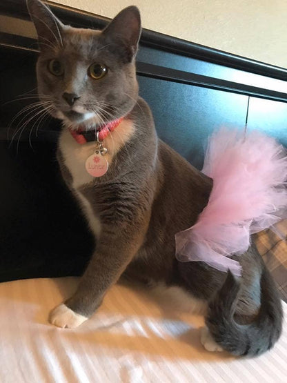 Pink Dog Tutu/Skirt