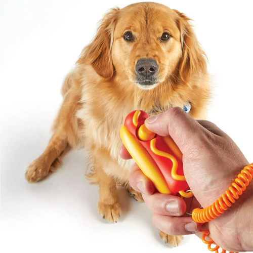 Brightkins™ Smarty Pooch™ Training Clicker - HOT DOG