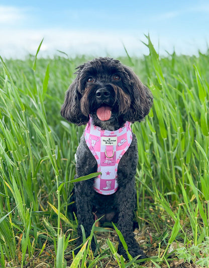 Cowgirl Cutie Adjustable Dog Harness