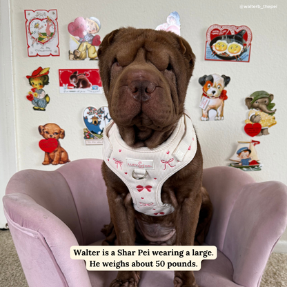 Ever So Sweet No-Pull Harness