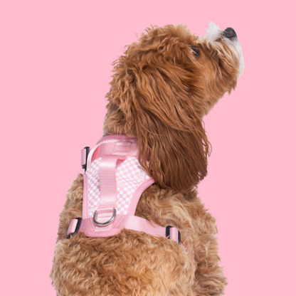 Barbie Checker Everything Harness