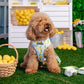 Frenchie Duo Reversible Harness - Lemon Tree