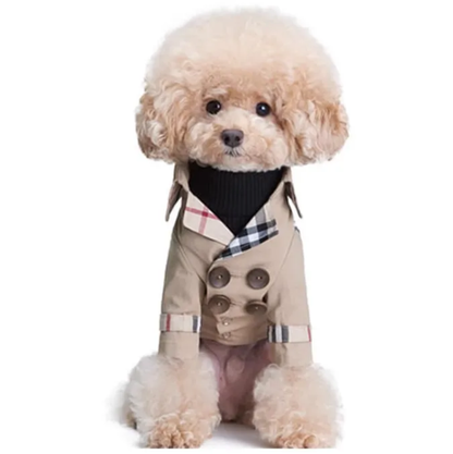 Burberry Dog Coat