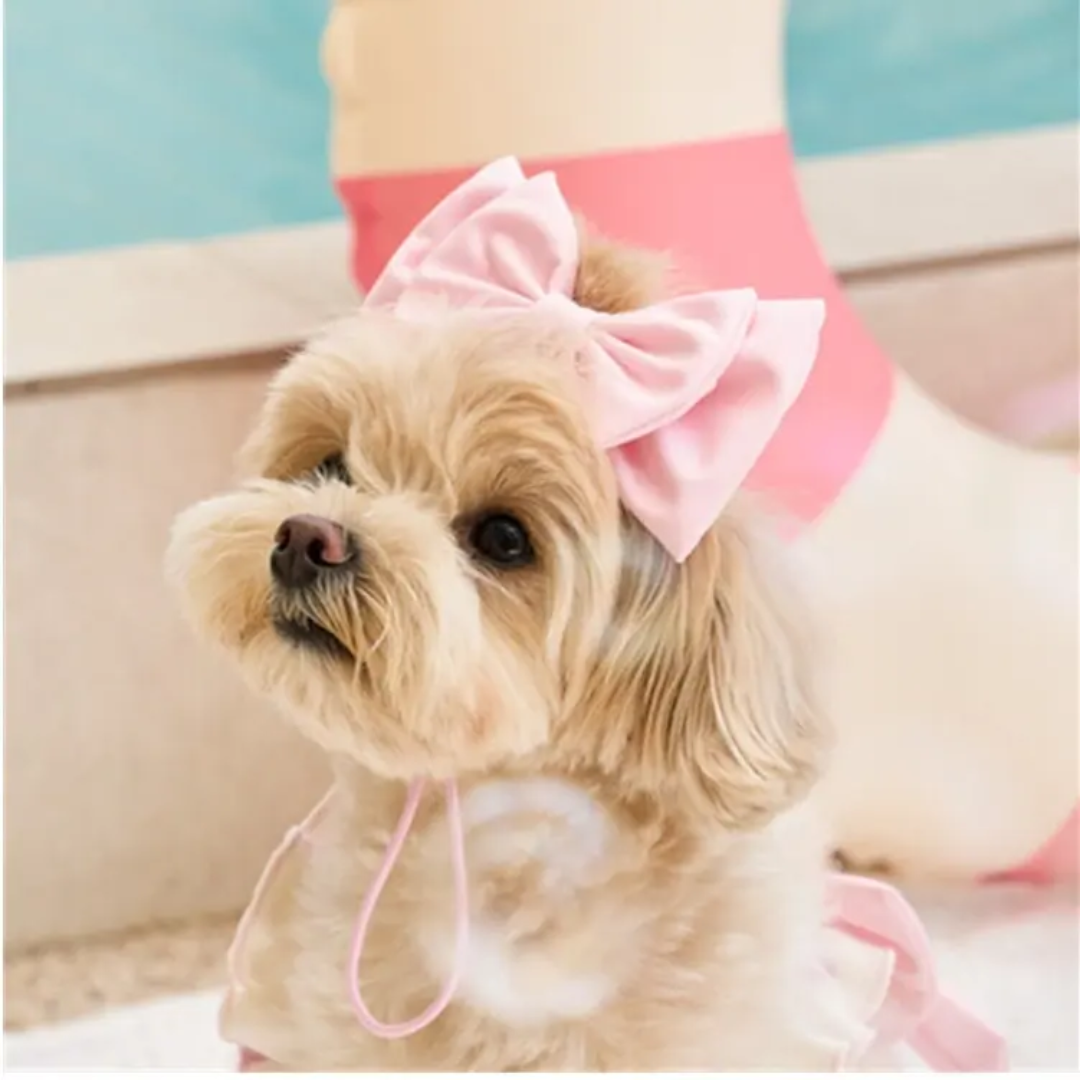 White with Pink Bow Dog Swimsuit and Pink Bow Headband