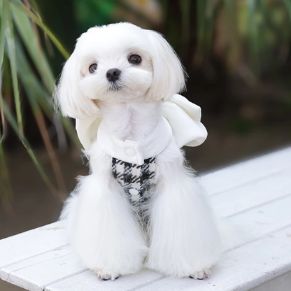 Black & White Plaid Dog Dress with Fancy White Bow