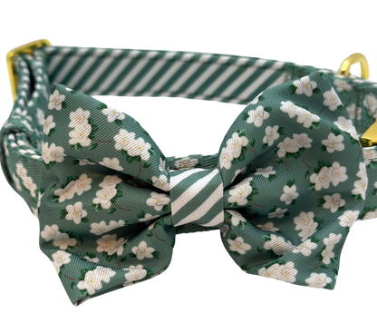 Magnolia Dog Bow Tie
