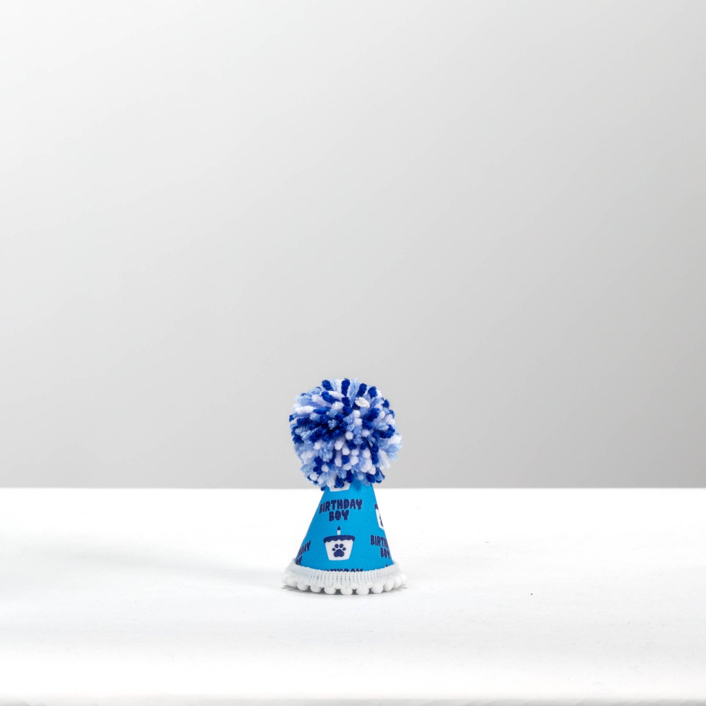 Birthday Boy Blue Ink Party Hat 