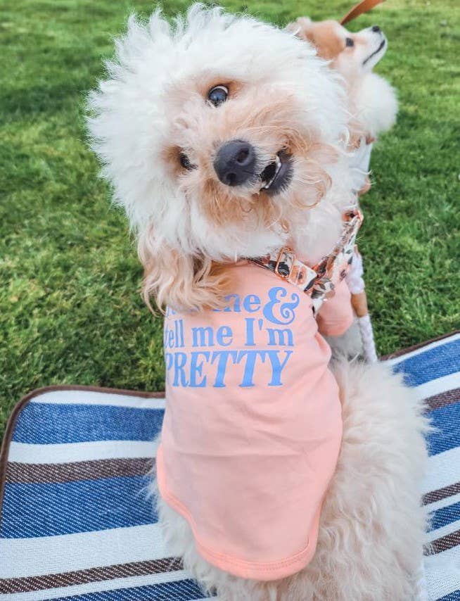 "Feed Me & Tell Me Im Pretty" Dog T-shirt