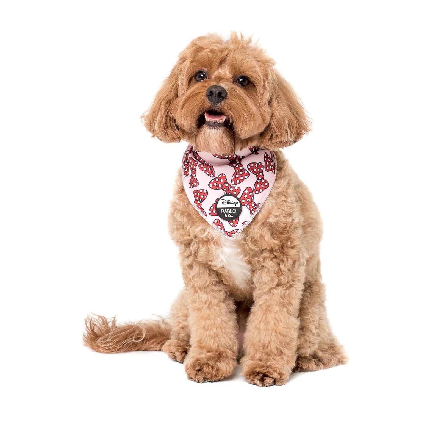 Bandana para perro con lazos de Minnie Mouse