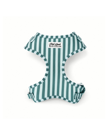 Mint and Green Striped Harness