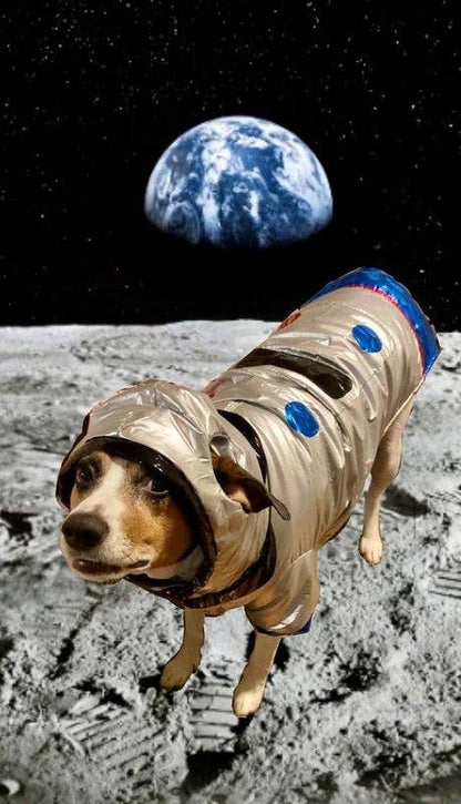 El disfraz galáctico de Halloween para perro