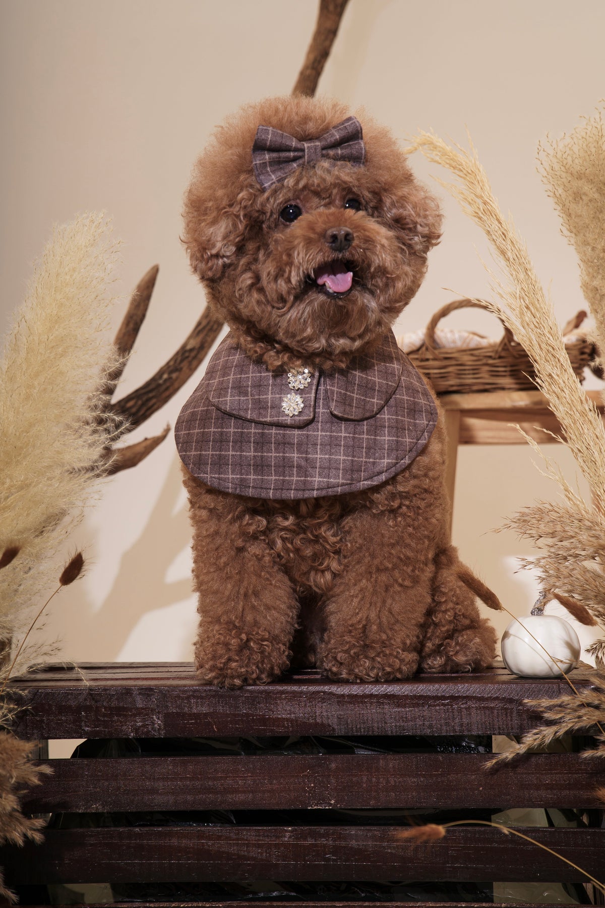Autumn Ivy Dog Hair Bow