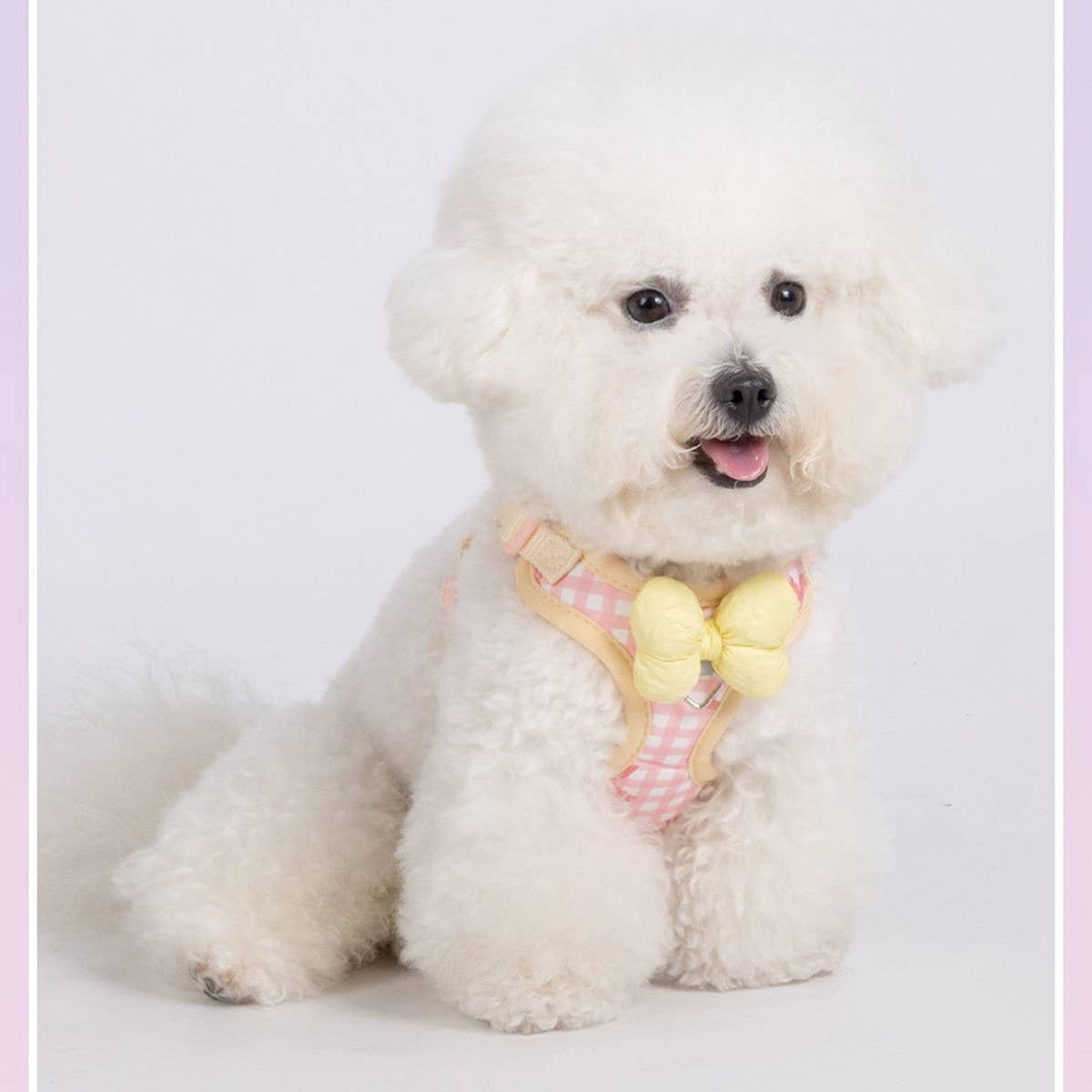 Cute Bow with Plaid Dog Harness with Leash